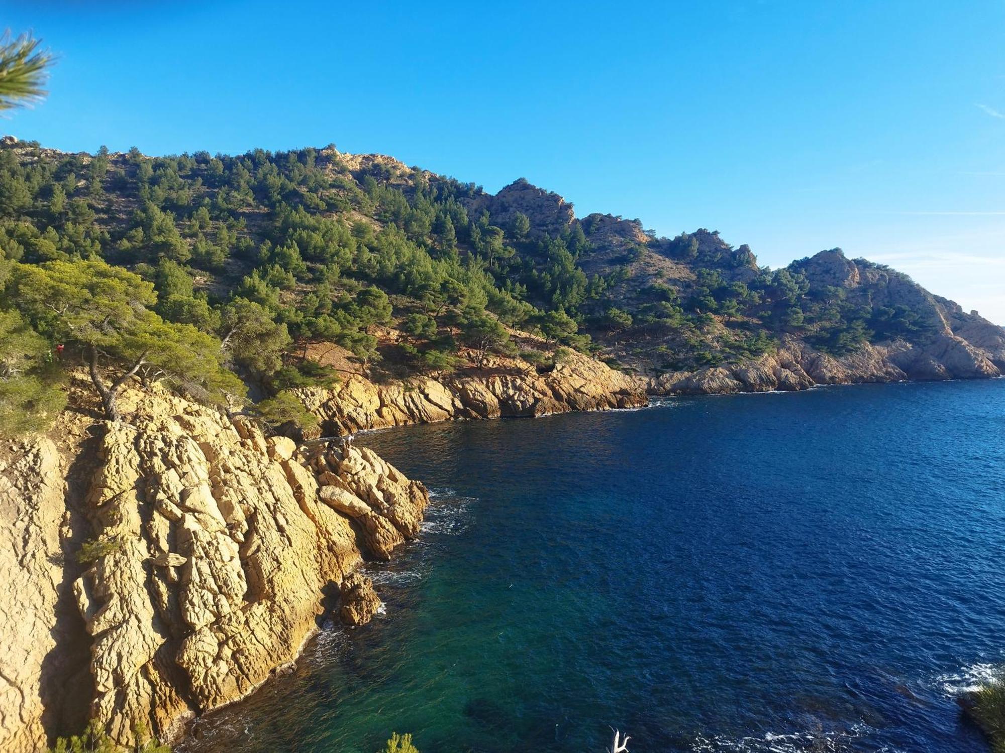 Confort Parc Unesco Des Calanques La Vesse Apartment Le Rove